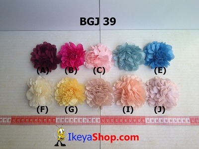 BGJ 39  large2